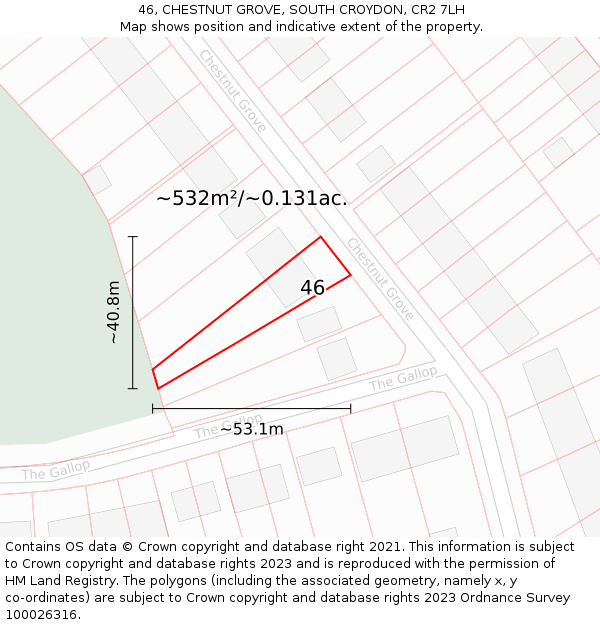 46, CHESTNUT GROVE, SOUTH CROYDON, CR2 7LH: Plot and title map