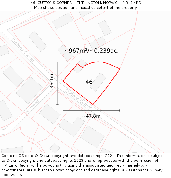 46, CUTTONS CORNER, HEMBLINGTON, NORWICH, NR13 4PS: Plot and title map