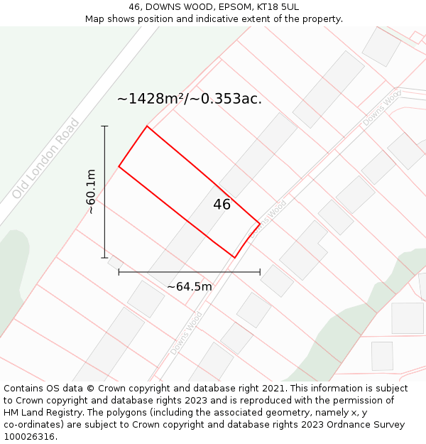 46, DOWNS WOOD, EPSOM, KT18 5UL: Plot and title map