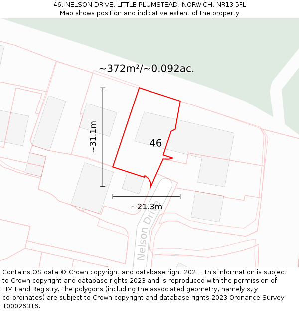 46, NELSON DRIVE, LITTLE PLUMSTEAD, NORWICH, NR13 5FL: Plot and title map