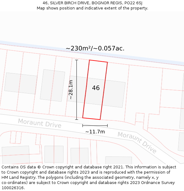 46, SILVER BIRCH DRIVE, BOGNOR REGIS, PO22 6SJ: Plot and title map