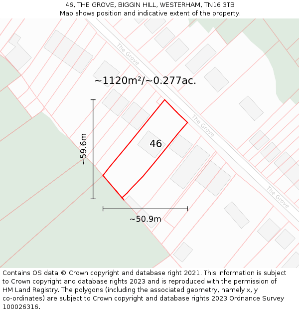 46, THE GROVE, BIGGIN HILL, WESTERHAM, TN16 3TB: Plot and title map