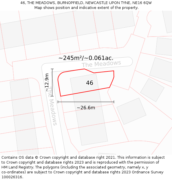 46, THE MEADOWS, BURNOPFIELD, NEWCASTLE UPON TYNE, NE16 6QW: Plot and title map