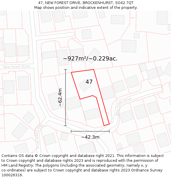 47, NEW FOREST DRIVE, BROCKENHURST, SO42 7QT: Plot and title map