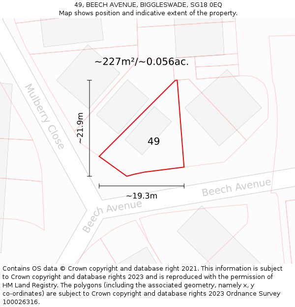 49, BEECH AVENUE, BIGGLESWADE, SG18 0EQ: Plot and title map