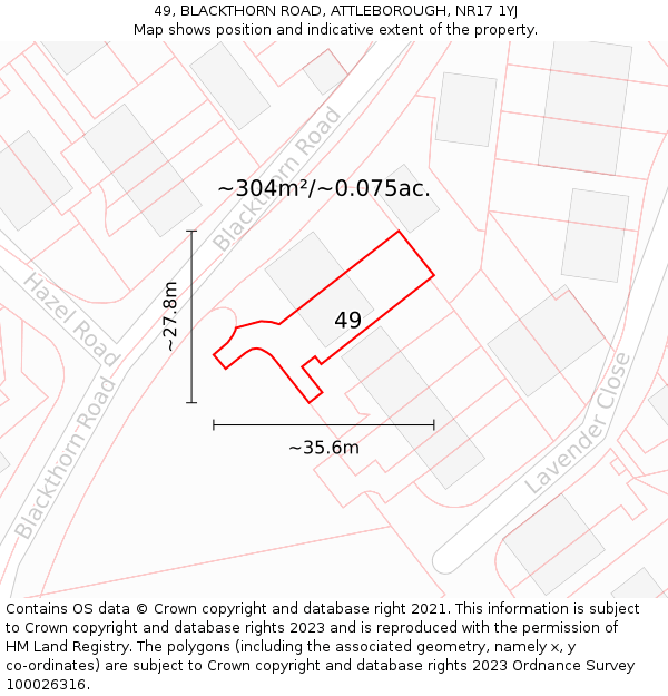 49, BLACKTHORN ROAD, ATTLEBOROUGH, NR17 1YJ: Plot and title map