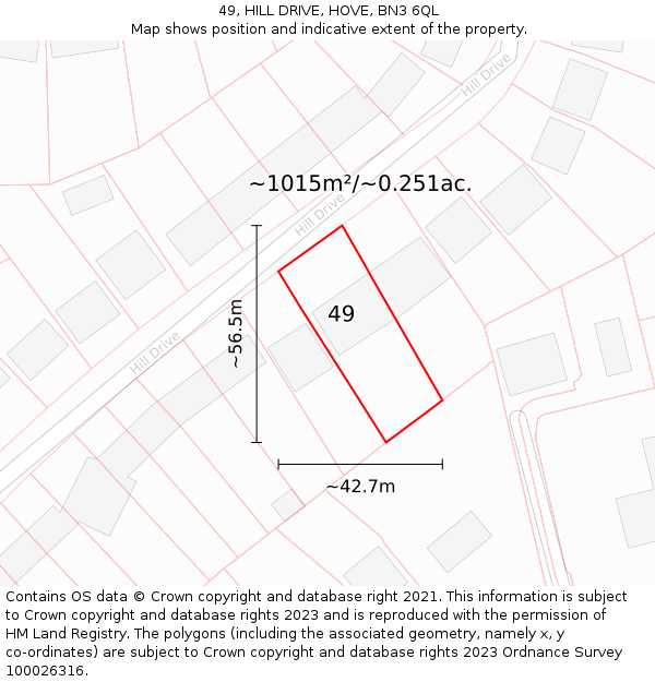 49, HILL DRIVE, HOVE, BN3 6QL: Plot and title map