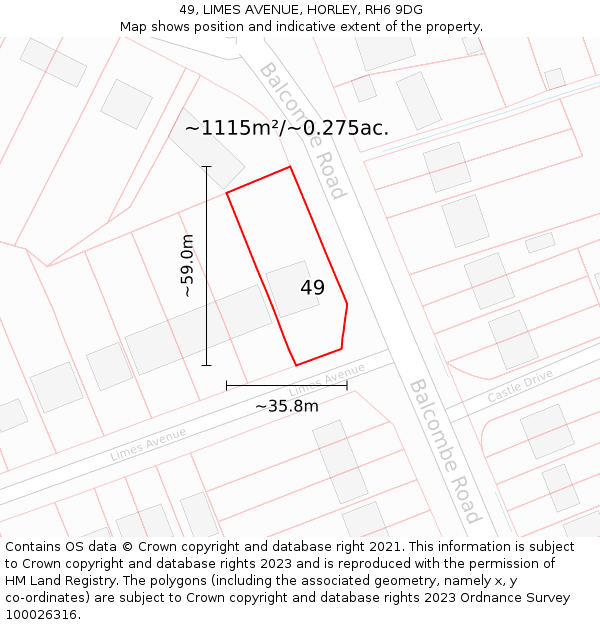 49, LIMES AVENUE, HORLEY, RH6 9DG: Plot and title map