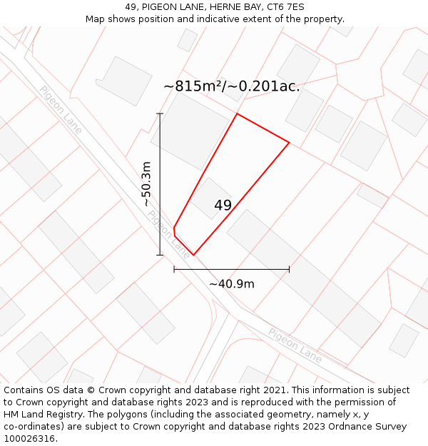 49, PIGEON LANE, HERNE BAY, CT6 7ES: Plot and title map