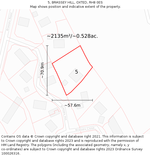 5, BRASSEY HILL, OXTED, RH8 0ES: Plot and title map
