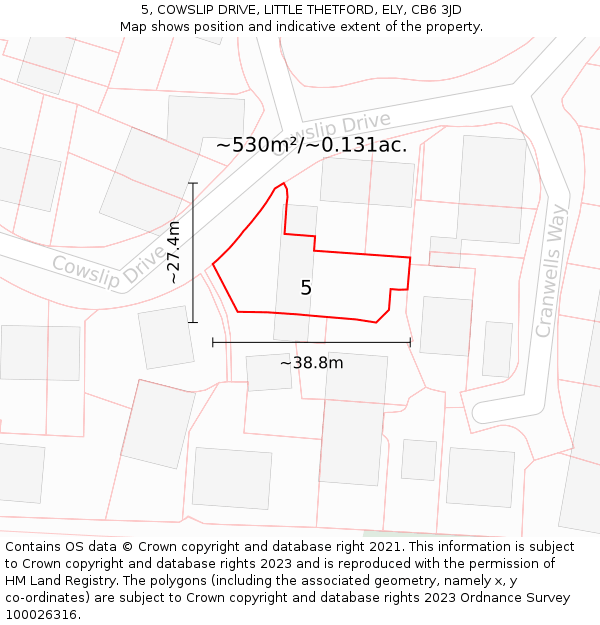 5, COWSLIP DRIVE, LITTLE THETFORD, ELY, CB6 3JD: Plot and title map