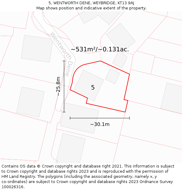 5, WENTWORTH DENE, WEYBRIDGE, KT13 9AJ: Plot and title map