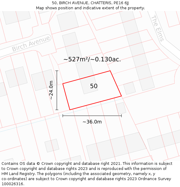 50, BIRCH AVENUE, CHATTERIS, PE16 6JJ: Plot and title map