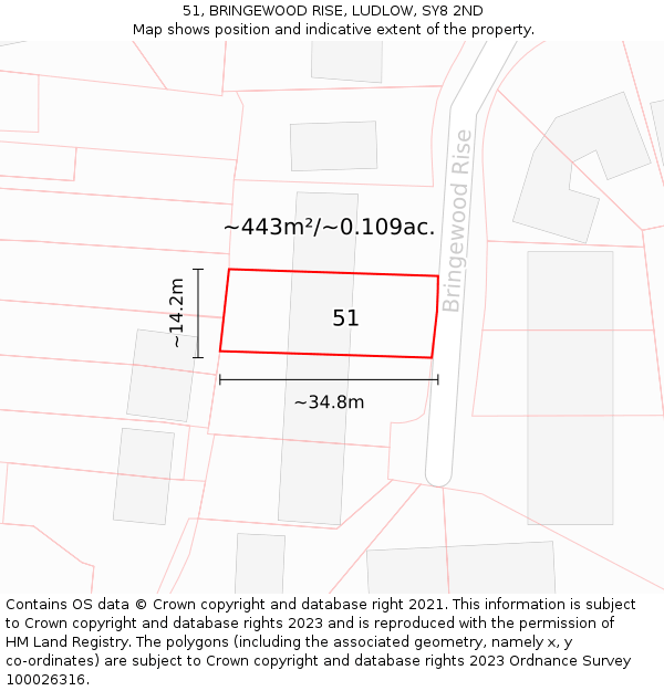 51, BRINGEWOOD RISE, LUDLOW, SY8 2ND: Plot and title map