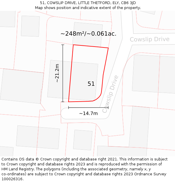 51, COWSLIP DRIVE, LITTLE THETFORD, ELY, CB6 3JD: Plot and title map