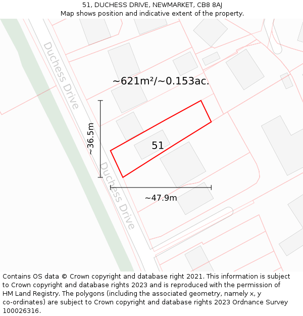 51, DUCHESS DRIVE, NEWMARKET, CB8 8AJ: Plot and title map