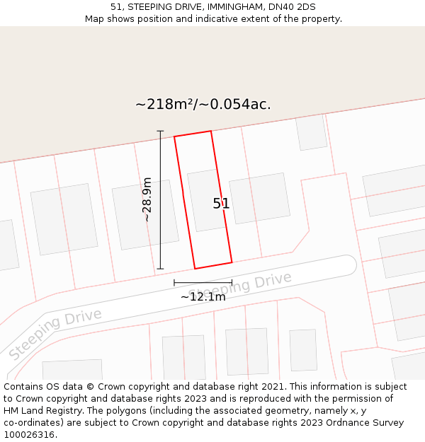 51, STEEPING DRIVE, IMMINGHAM, DN40 2DS: Plot and title map