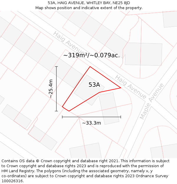 53A, HAIG AVENUE, WHITLEY BAY, NE25 8JD: Plot and title map