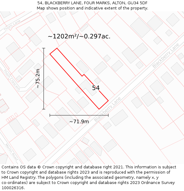 54, BLACKBERRY LANE, FOUR MARKS, ALTON, GU34 5DF: Plot and title map