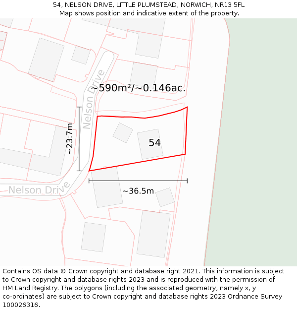 54, NELSON DRIVE, LITTLE PLUMSTEAD, NORWICH, NR13 5FL: Plot and title map
