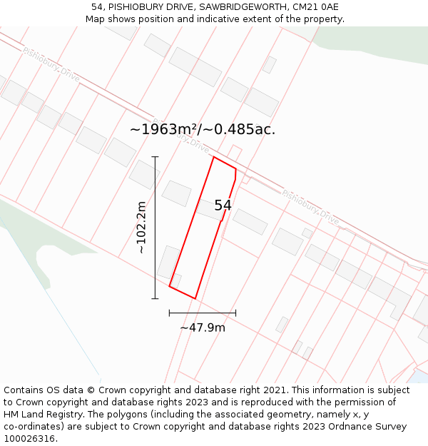 54, PISHIOBURY DRIVE, SAWBRIDGEWORTH, CM21 0AE: Plot and title map