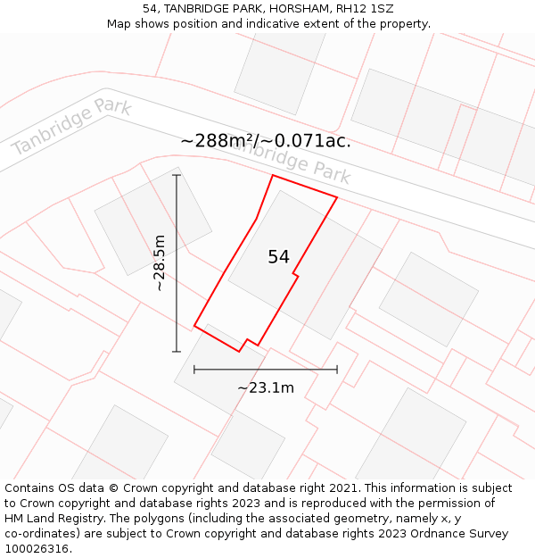 54, TANBRIDGE PARK, HORSHAM, RH12 1SZ: Plot and title map