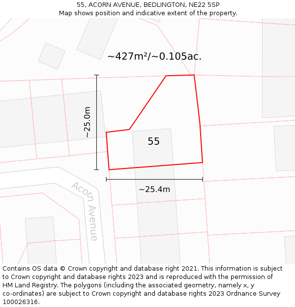 55, ACORN AVENUE, BEDLINGTON, NE22 5SP: Plot and title map