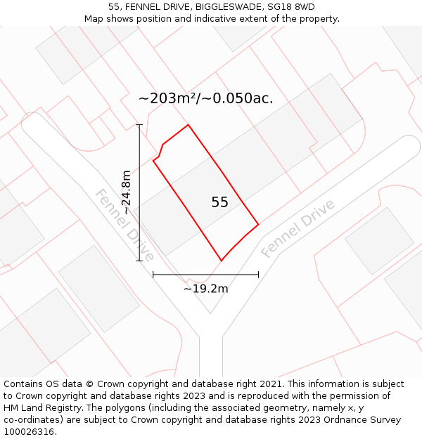 55, FENNEL DRIVE, BIGGLESWADE, SG18 8WD: Plot and title map