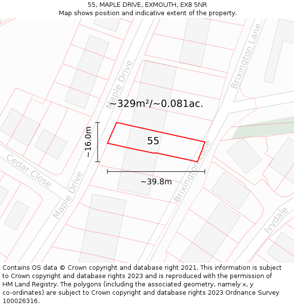 55, MAPLE DRIVE, EXMOUTH, EX8 5NR: Plot and title map