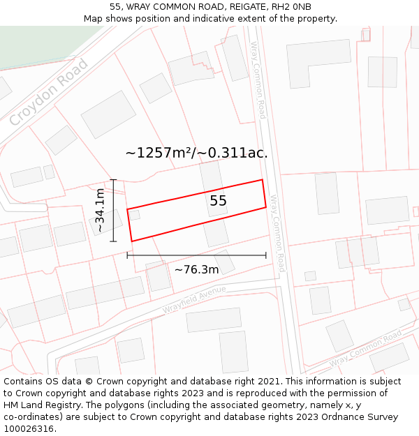 55, WRAY COMMON ROAD, REIGATE, RH2 0NB: Plot and title map