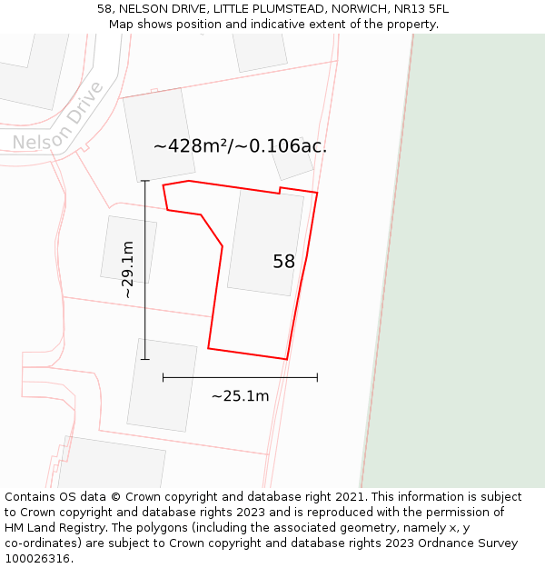 58, NELSON DRIVE, LITTLE PLUMSTEAD, NORWICH, NR13 5FL: Plot and title map