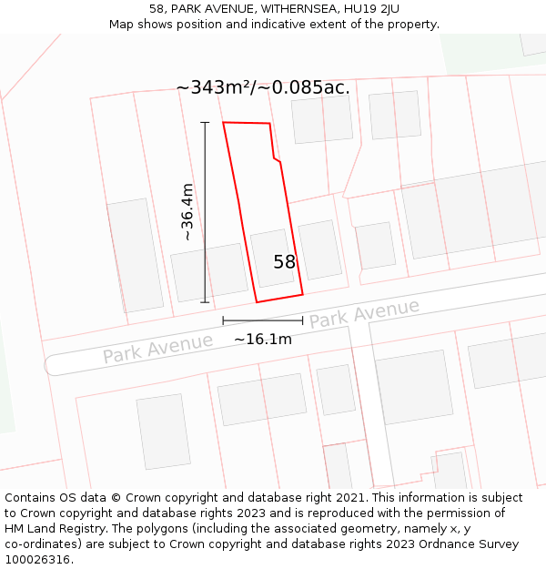 58, PARK AVENUE, WITHERNSEA, HU19 2JU: Plot and title map