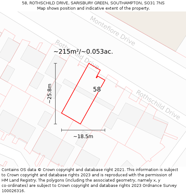 58, ROTHSCHILD DRIVE, SARISBURY GREEN, SOUTHAMPTON, SO31 7NS: Plot and title map