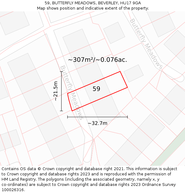 59, BUTTERFLY MEADOWS, BEVERLEY, HU17 9GA: Plot and title map