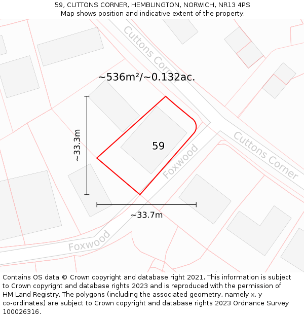 59, CUTTONS CORNER, HEMBLINGTON, NORWICH, NR13 4PS: Plot and title map