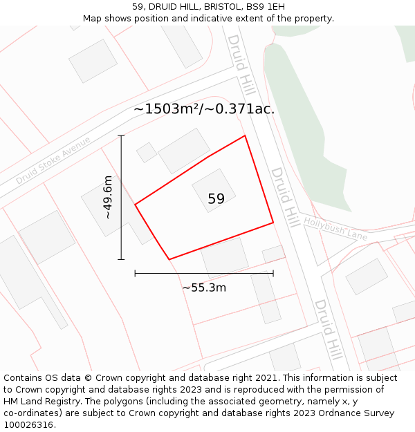 59, DRUID HILL, BRISTOL, BS9 1EH: Plot and title map