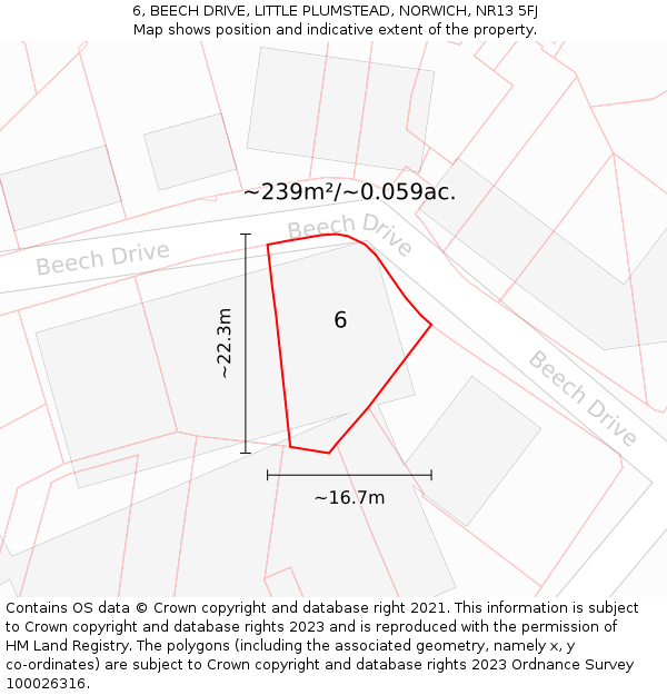 6, BEECH DRIVE, LITTLE PLUMSTEAD, NORWICH, NR13 5FJ: Plot and title map