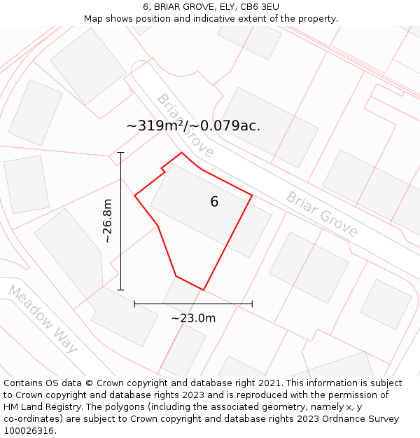 6, BRIAR GROVE, ELY, CB6 3EU: Plot and title map