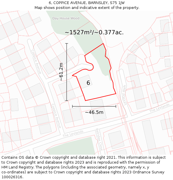 6, COPPICE AVENUE, BARNSLEY, S75 1JW: Plot and title map