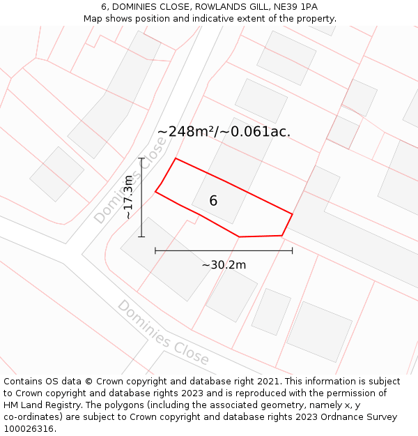 6, DOMINIES CLOSE, ROWLANDS GILL, NE39 1PA: Plot and title map