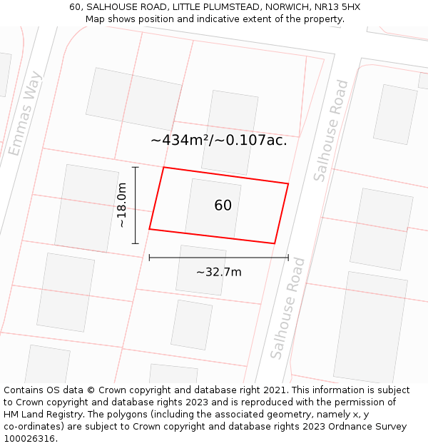 60, SALHOUSE ROAD, LITTLE PLUMSTEAD, NORWICH, NR13 5HX: Plot and title map