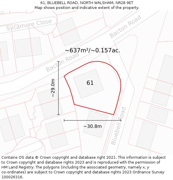 61, BLUEBELL ROAD, NORTH WALSHAM, NR28 9ET: Plot and title map