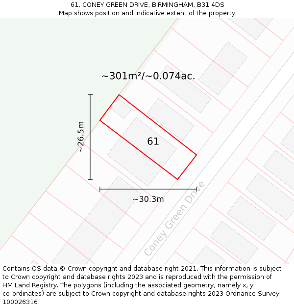 61, CONEY GREEN DRIVE, BIRMINGHAM, B31 4DS: Plot and title map