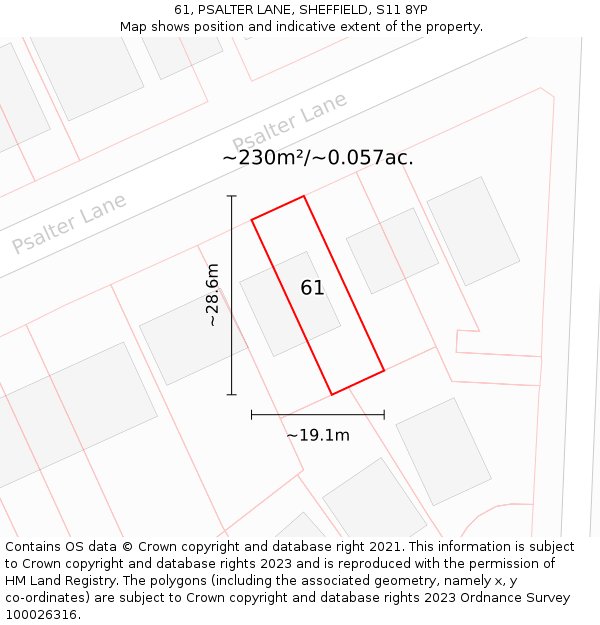 61, PSALTER LANE, SHEFFIELD, S11 8YP: Plot and title map