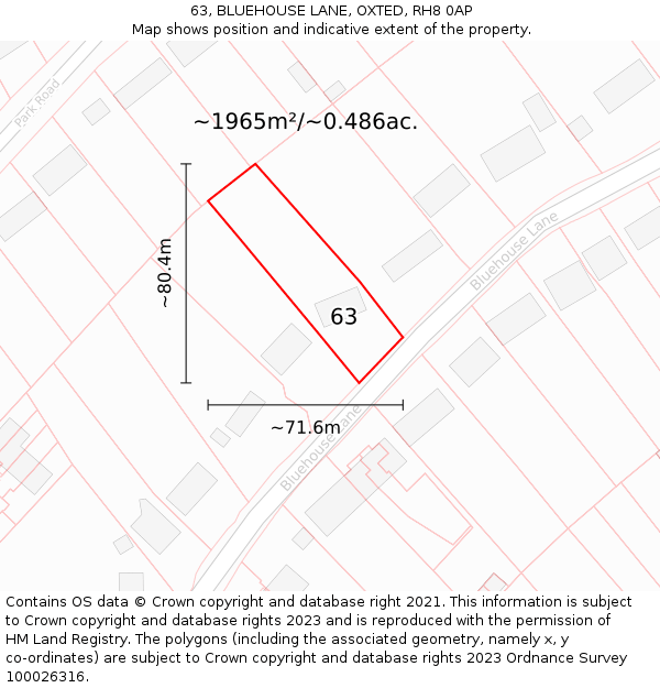 63, BLUEHOUSE LANE, OXTED, RH8 0AP: Plot and title map