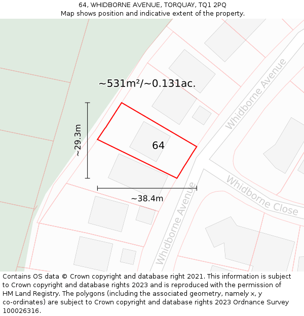 64, WHIDBORNE AVENUE, TORQUAY, TQ1 2PQ: Plot and title map