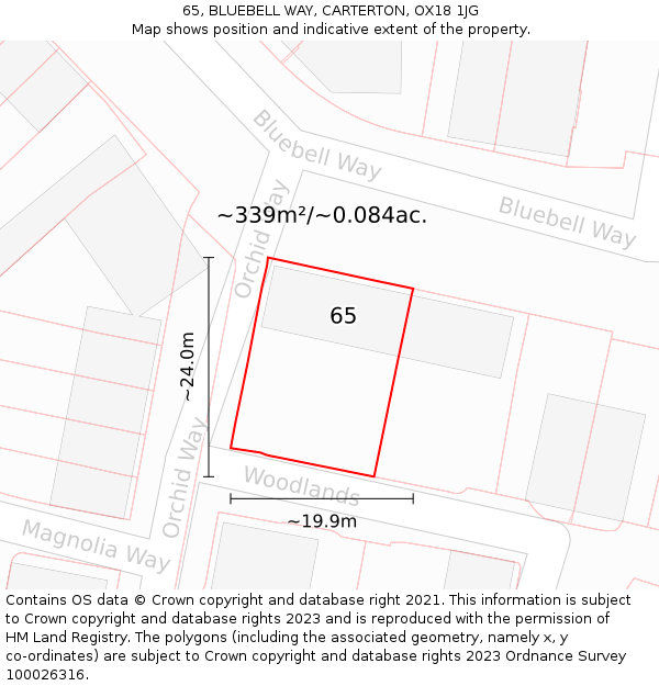 65, BLUEBELL WAY, CARTERTON, OX18 1JG: Plot and title map