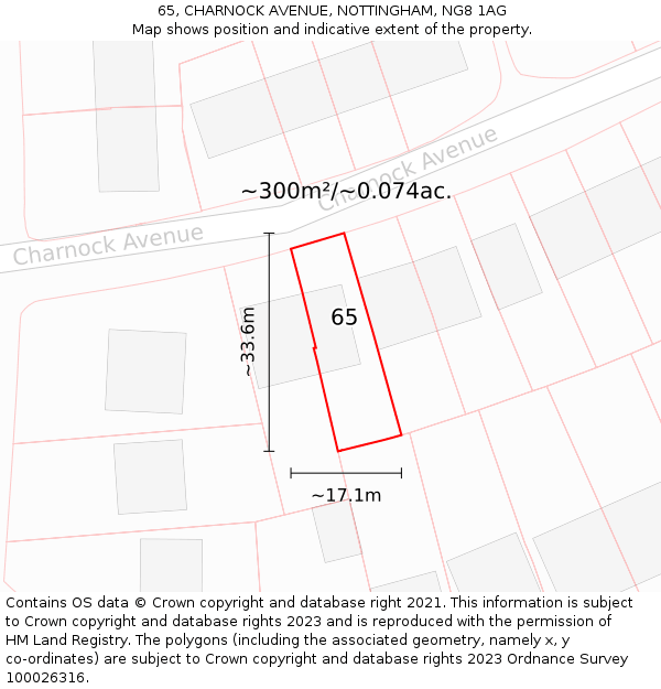 65, CHARNOCK AVENUE, NOTTINGHAM, NG8 1AG: Plot and title map