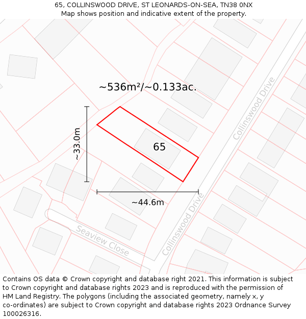 65, COLLINSWOOD DRIVE, ST LEONARDS-ON-SEA, TN38 0NX: Plot and title map