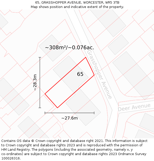 65, GRASSHOPPER AVENUE, WORCESTER, WR5 3TB: Plot and title map